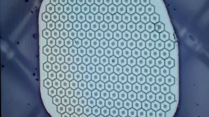 Ex-Neuralink Co-Founder’s Startup Taps Top Yale Neuroscientist to Lead First U.S. Human Trials of Biohybrid BCI